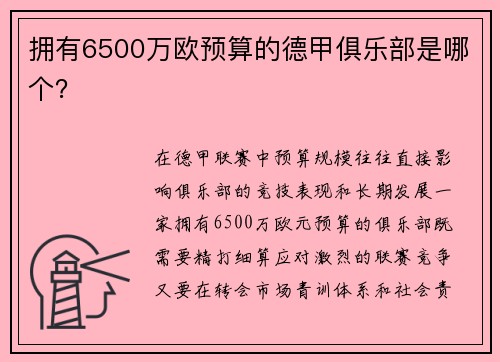 拥有6500万欧预算的德甲俱乐部是哪个？