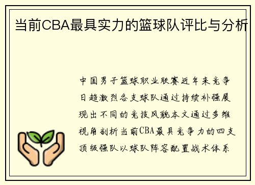 当前CBA最具实力的篮球队评比与分析